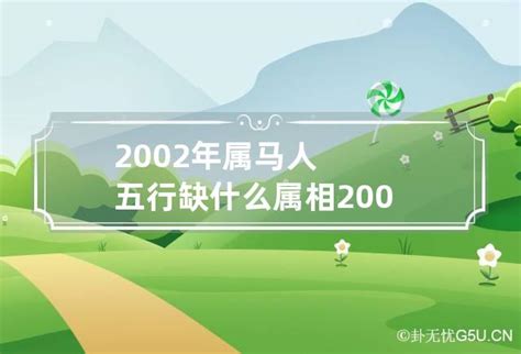 2002年五行缺什么